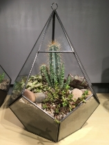 Large Glass Pyramid Style Terrarium